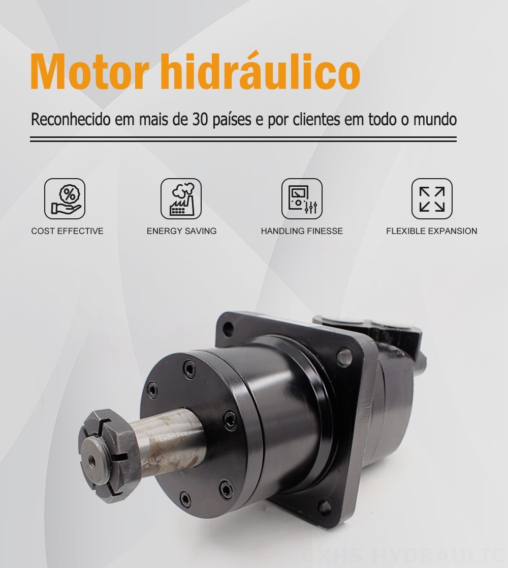 Motor Hidráulico Cicloidal BM6W 310 cc/r 150 Lpm Motor hidráulico
